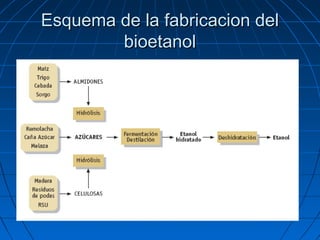Esquema de la fabricacion delEsquema de la fabricacion del
bioetanolbioetanol
 