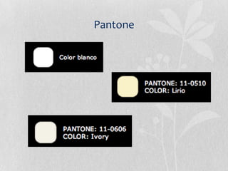 Pantone
 