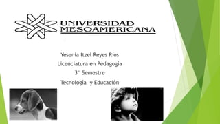 Yesenia Itzel Reyes Ríos 
Licenciatura en Pedagogía 
3° Semestre 
Tecnología y Educación 
 
