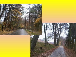 Elbląg1 prezentacja (1)