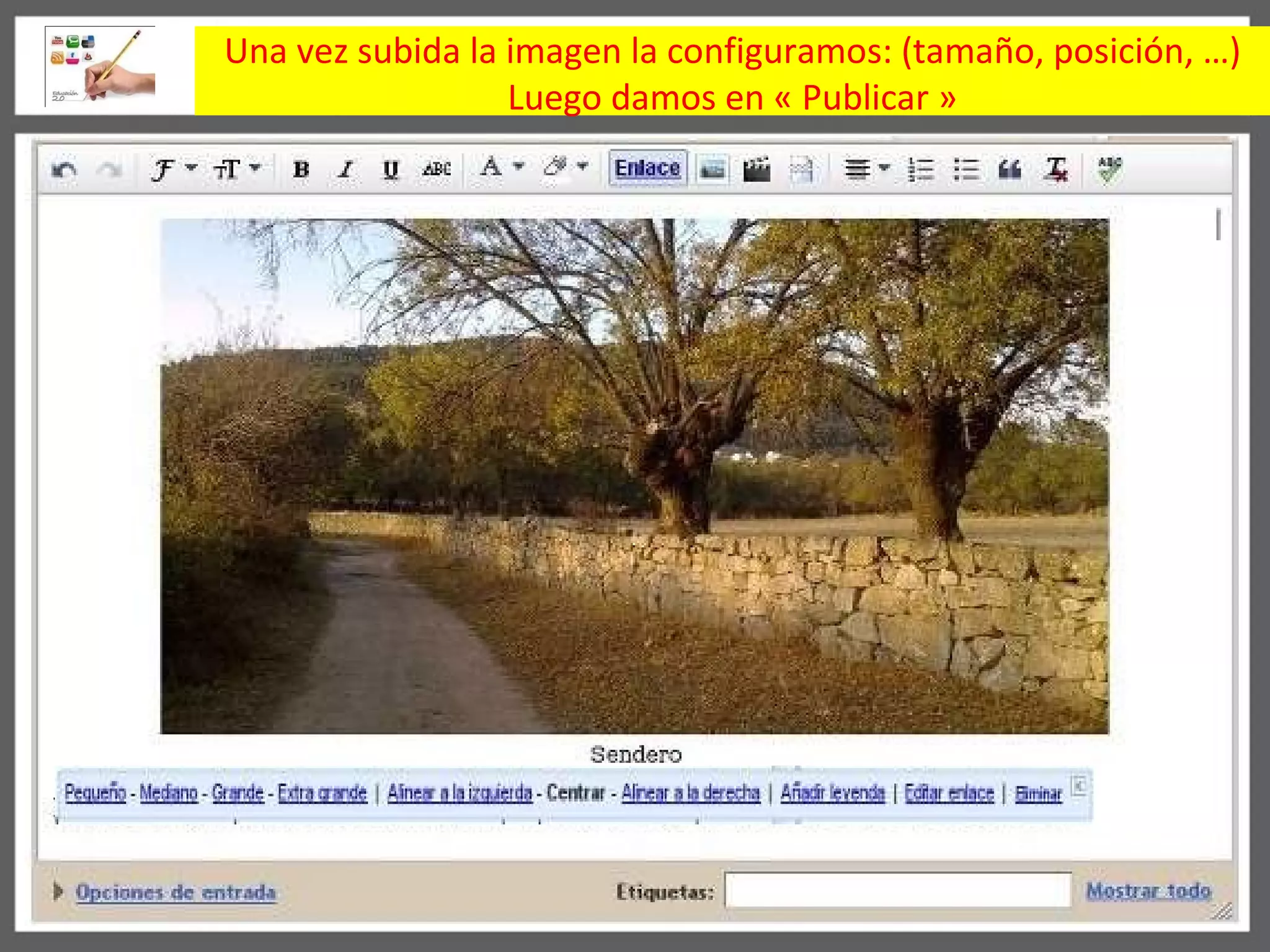 Una vez subida la imagen la configuramos: ( tama ñ o , posici ó n, …) Luego damos en « Publicar » 