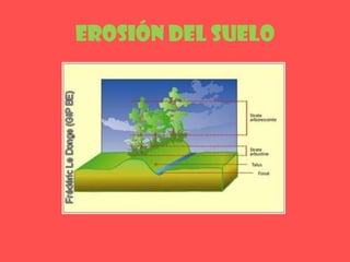 Erosión del suelo
 