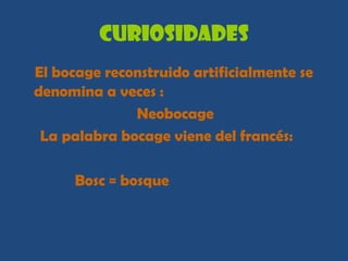Curiosidades
El bocage reconstruido artificialmente se
denomina a veces :
              Neobocage
 La palabra bocage viene del francés:

      Bosc = bosque
 