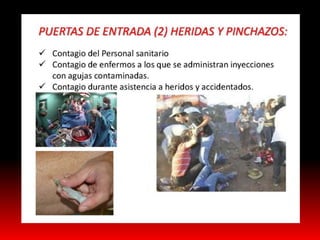 El ébola presentacion