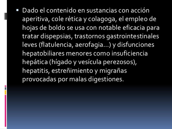 El boldo El boldo
