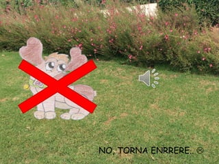 NO, TORNA ENRRERE.. 
 