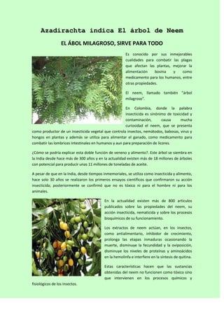 Azadirachta indica El árbol de Neem
                  EL ÁBOL MILAGROSO, SIRVE PARA TODO
                                                        Es conocido por sus inmejorables
                                                        cualidades para combatir las plagas
                                                        que afectan las plantas, mejorar la
                                                        alimentación    bovina   y    como
                                                        medicamento para los humanos, entre
                                                        otras propiedades.

                                                        El neem, llamado también "árbol
                                                        milagroso".

                                                      En Colombia, donde la palabra
                                                      insecticida es sinónimo de toxicidad y
                                                      contaminación,        causa     mucha
                                                      curiosidad el neem, que se presenta
como productor de un insecticida vegetal que controla insectos, nemátodos, babosas, virus y
hongos en plantas y además se utiliza para alimentar el ganado, como medicamento para
combatir las lombrices intestinales en humanos y aun para preparación de licores.

¿Cómo se podría explicar esta doble función de veneno y alimento?. Este árbol se siembra en
la India desde hace más de 300 años y en la actualidad existen más de 18 millones de árboles
con potencial para producir unas 11 millones de toneladas de aceite.

A pesar de que en la India, desde tiempos inmemoriales, se utiliza como insecticida y alimento,
hace solo 30 años se realizaron los primeros ensayos científicos que confirmaron su acción
insecticida; posteriormente se confirmó que no es tóxico ni para el hombre ni para los
animales.

                                           En la actualidad existen más de 800 artículos
                                           publicados sobre las propiedades del neem, su
                                           acción insecticida, nematicida y sobre los procesos
                                           bioquímicos de su funcionamiento.

                                           Los extractos de neem actúan, en los insectos,
                                           como antialimentario, inhibidor de crecimiento,
                                           prolonga las etapas inmaduras ocasionando la
                                           muerte, disminuye la fecundidad y la oviposición,
                                           disminuye los niveles de proteínas y aminoácidos
                                           en la hemolinfa e interfiere en la síntesis de quitina.

                                           Estas características hacen que las sustancias
                                           obtenidas del neem no funcionen como tóxico sino
                                           que intervienen en los procesos químicos y
fisiológicos de los insectos.
 