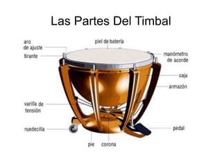 Las Partes Del Timbal