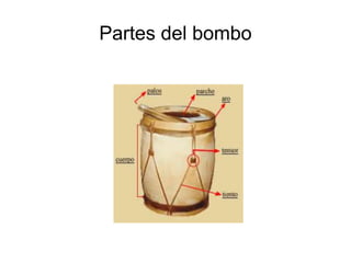 Partes del bombo