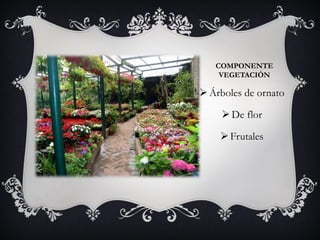 COMPONENTE
VEGETACIÓN
Árboles de ornato
De flor
Frutales
 
