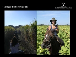 Variedad de actividades 