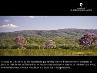 Alojarse en la Estancia es una experiencia que permite conocer Salta por dentro, compartir el estilo de vida de una auténtica finca en producción y conocer los detalles de la historia del Norte, rico en tradiciones y hechos vinculados a la lucha por la independencia.   