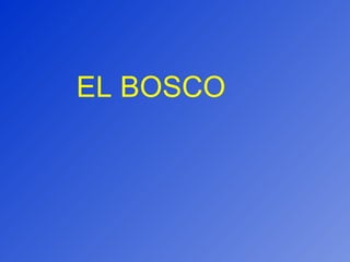 EL BOSCO 