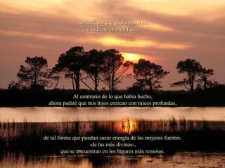 Al contrario de lo que había hecho, ahora pediré que mis hijos crezcan con raíces profundas, de tal forma que puedan sacar energía de las mejores fuentes  -de las más divinas-,  que se encuentran en los lugares más remotos. Lo haré porque queramos o no, la vida no es muy fácil.  