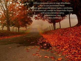 Oramos demasiado para no tener dificultades,  Pero lo que necesitamos hacer es pedir para desarrollar raíces fuertes y profundas,  de tal manera que, cuando las tempestades lleguen y los vientos helados soplen, resistamos con valor y no seamos dominados. 