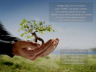 Tiempo atrás, tuve un vecino,  cuyo "hobby" era plantar árboles en la enorme quinta de su casa.  Algunas veces observaba desde mi ventana el esfuerzo para plantar árboles  y más árboles todos los días. Entretanto, lo que más me llamaba la atención era el hecho de que él jamás regaba los renuevos que plantaba. 
