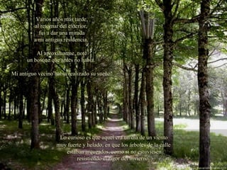 Varios años más tarde, al retornar del exterior,  fui a dar una mirada a mi antigua residencia.  Al aproximarme, noté un bosque que antes no había.  Mi antiguo vecino había realizado su sueño! Lo curioso es que aquel era un día de un viento  muy fuerte y helado, en que los árboles de la calle  estaban arqueados, como si no estuviesen resistiendo el rigor del invierno. 