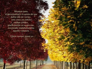 Mientras tanto, al aproximarme a la quinta del que había sido mi vecino,  noté cómo sus árboles estaban sólidos,  practicamente no se movían,  resistiendo implacablemente aquella ventolera. ... Efecto curioso, pensé yo... 