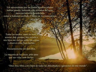 Las adversidades por las cuales aquellos árboles  habían pasado, habiendo sido privados del agua,  parecían haberlos beneficiado, como si hubiesen recibido el mejor de los tratamientos. “ Dios mío, libra a mis hijos de todas las dificultades y agresiones de este mundo”. Todas las noches, antes de irme a acostar, doy siempre una mirada a mis hijos me inclino sobre sus camas y observo cómo han crecido. Frecuentemente oro por ellos. La mayoría de las veces, pido para que sus vidas sean fáciles. 