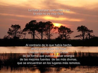 Al contrario de lo que había hecho, ahora pediré que mis hijos  crezcan con raíces profundas, de tal forma que puedan sacar energía  de las mejores fuentes  de las más divinas,  que se encuentran en los lugares más remotos . Lo haré porque queramos o no, la vida no es muy fácil.  