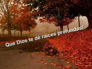 Que Dios te dé raíces profundas! 