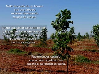 Noté después de un tiempo  que sus árboles  estaban demorando  mucho en crecer.  Cierto día, decidí acercarme a él y le pregunté si no tenía recelo de que los árboles no crecieran, pues percibía que él nunca los regaba. Fue entonces cuando, con un aire orgulloso, me describió su fantástica  teoria. 