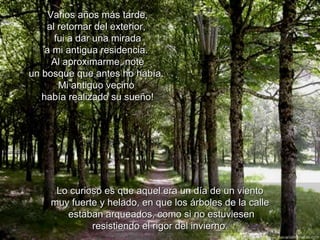 Varios años más tarde, al retornar del exterior,  fui a dar una mirada a mi antigua residencia.  Al aproximarme, noté un bosque que antes no había.  Mi antiguo vecino  había realizado su sueño! Lo curioso es que aquel era un día de un viento  muy fuerte y helado, en que los árboles de la calle  estaban arqueados, como si no estuviesen resistiendo el rigor del invierno. 