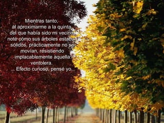 Mientras tanto,  al aproximarme a la quinta  del que había sido mi vecino, noté cómo sus árboles estaban sólidos, prácticamente no se movían, resistiendo implacablemente aquella ventolera.  ... Efecto curioso, pensé yo... 
