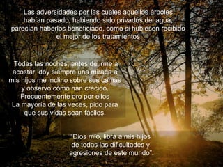 Las adversidades por las cuales aquellos árboles  habían pasado, habiendo sido privados del agua,  parecían haberlos beneficiado, como si hubiesen recibido  el mejor de los tratamientos. “ Dios mío, libra a mis hijos  de todas las dificultades y  agresiones de este mundo”. Todas las noches, antes de irme a acostar, doy siempre una mirada a mis hijos me inclino sobre sus camas y observo cómo han crecido. Frecuentemente oro por ellos La mayoría de las veces, pido para que sus vidas sean fáciles. 