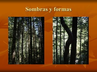Sombras y formas
 