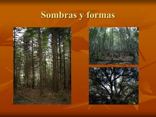 Sombras y formas
 