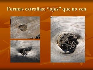 Formas extrañas: “ojos” que no ven
 