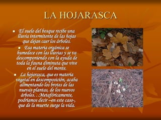 LA HOJARASCA
  El suelo del bosque recibe una
  lluvia intermitente de las hojas
     que dejan caer los árboles.
   Esa materia orgánica se
 humedece con las lluvias y se va
 descomponiendo con la ayuda de
 toda la fauna diminuta que vive
       en el suelo del monte.
 La hojarasca, que es materia
 vegetal en descomposición, acaba
   alimentando los brotes de las
   nuevas plantas, de los nuevos
    árboles…Metafóricamente,
  podríamos decir –en este caso-,
  que de la muerte surge la vida.
 