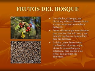 FRUTOS DEL BOSQUE
           Los árboles, el bosque, han
            ofrecido y ofrecen diversos frutos
            a las personas que los cuidan y
            protegen.
           Frutos silvestres que son alimento
            para muchas clases de aves y que
            también pueden ser comestibles
            para las personas.
           La leña, como fruto o como
            combustible: el primero que
            utilizó la humanidad para
            calentarse, para asustar a las
            fieras, para cocinar sus
            alimentos…
 