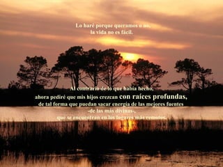 Lo haré porque queramos o no,
                     la vida no es fácil.




             Al contrario de lo que había hecho,
ahora pediré que mis hijos crezcan con raíces profundas,
 de tal forma que puedan sacar energía de las mejores fuentes
                      -de las más divinas-,
          que se encuentran en los lugares más remotos.
 