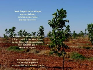 Noté después de un tiempo,
        que sus árboles
      estaban demorando
       mucho en crecer.




Cierto día, decidí acercarme a él
y le pregunté si no tenía temor
de que los árboles no crecieran,
      pues percibía que él
       nunca los regaba.




     Fué entonces cuando,
    con un aire orgulloso,
me describió su fantástica teoría.
 