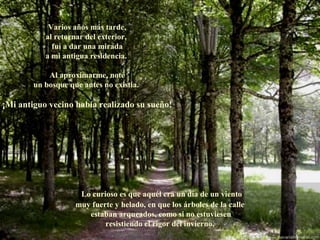 Varios años más tarde,
           al retornar del exterior,
             fuí a dar una mirada
           a mi antigua residencia.

            Al aproximarme, noté
        un bosque que antes no existía.

¡Mi antiguo vecino había realizado su sueño!




                     Lo curioso es que aquél era un día de un viento
                    muy fuerte y helado, en que los árboles de la calle
                       estaban arqueados, como si no estuviesen
                            resistiendo el rigor del invierno.
 