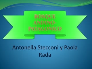 Antonella Stecconi y Paola 
Rada 
 