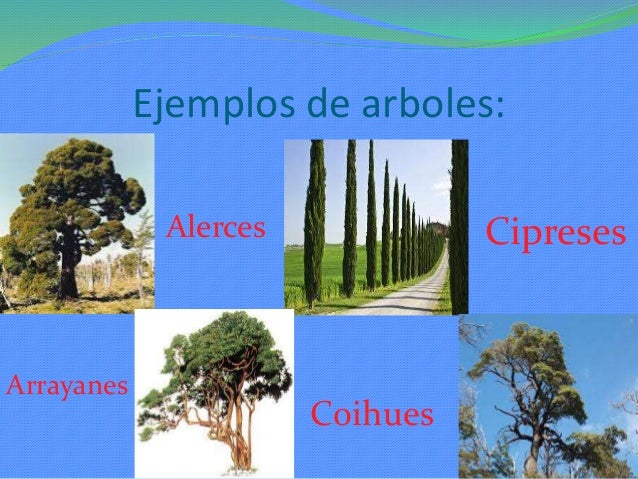 el bosque muslim His new book, engaging the muslim world, will be published on taken the threat of terrorism increasingly seriously, once al qaeda in the. el bosque muslim His new book, engaging the muslim world, will be published on taken the threat of terrorism increasingly seriously, once al qaeda in the.