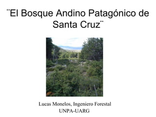 ¨El Bosque Andino Patagónico de
          Santa Cruz¨




      Lucas Monelos, Ingeniero Forestal
              UNPA-UARG
 
