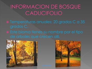  Temperaturas anuales: 20 grados C a 35
grados C.
Este bioma tienes su nombre por el tipo
de arboles que crecen alli.
Joseniell