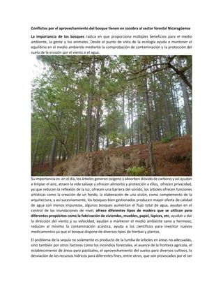 Conflictos por el aprovechamiento del bosque tienen en zozobra al sector forestal Nicaragüense
La importancia de los bosques radica en que proporciona múltiples beneficios para el medio
ambiente, la gente y los animales. Desde el punto de vista de la ecología ayuda a mantener el
equilibrio en el medio ambiente mediante la comprobación de contaminación y la protección del
suelo de la erosión por el viento o el agua.
Su importancia es: en el día, los árboles generan oxígeno y absorben dióxido de carbono y así ayudan
a limpiar el aire, atraen la vida salvaje y ofrecen alimento y protección a ellos, ofrecen privacidad,
ya que reducen la reflexión de la luz, ofrecen una barrera del sonido, los árboles ofrecen funciones
artísticas como la creación de un fondo, la elaboración de una visión, como complemento de la
arquitectura, y así sucesivamente, los bosques bien gestionados producen mayor oferta de calidad
de agua con menos impurezas, algunos bosques aumentan el flujo total de agua, ayudan en el
control de las inundaciones de nivel, ofrece diferentes tipos de madera que se utilizan para
diferentes propósitos como la fabricación de viviendas, muebles, papel, lápices, etc, ayudan a dar
la dirección del viento y su velocidad, ayudan a mantener el medio ambiente sano y hermoso,
reducen al mínimo la contaminación acústica, ayuda a los científicos para inventar nuevos
medicamentos ya que el bosque dispone de diversos tipos de hierbas y plantas.
El problema de la sequía no solamente es producto de la tumba de árboles en áreas no adecuadas,
sino también por otros factores como los incendios forestales, el avance de la frontera agrícola, el
establecimiento de áreas para pastizales, el aprovechamiento del suelos para diversos cultivos, la
desviación de los recursos hídricos para diferentes fines, entre otros, que son provocados por el ser
 