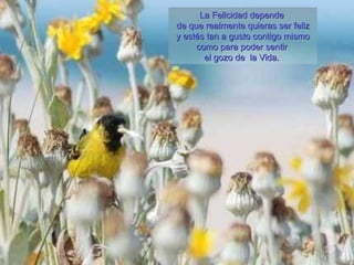 La Felicidad dependeLa Felicidad depende
de que realmente quieras ser felizde que realmente quieras ser feliz
y estés tan a gusto contigo mismoy estés tan a gusto contigo mismo
como para poder sentircomo para poder sentir
el gozo de la Vida.el gozo de la Vida.
 