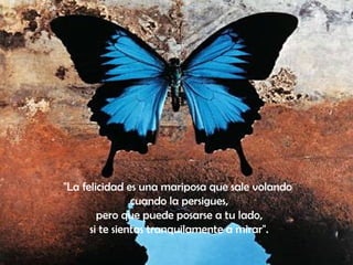 "La felicidad es una mariposa que sale volando
cuando la persigues,
pero que puede posarse a tu lado,
si te sientas tranquilamente a mirar".
 