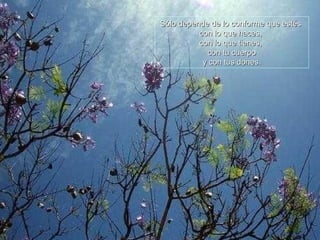Sólo depende de lo conforme que estésSólo depende de lo conforme que estés
con lo que haces,con lo que haces,
con lo que tienes,con lo que tienes,
con tu cuerpocon tu cuerpo
y con tus dones.y con tus dones.
 