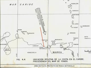 PLAYA
     BOTONCILLO




AREA DE PLAYA: PROYECTO DE PESCA- BOTONCILLO
 