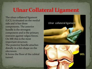 Ucl Components Elbow MRI | PPTX