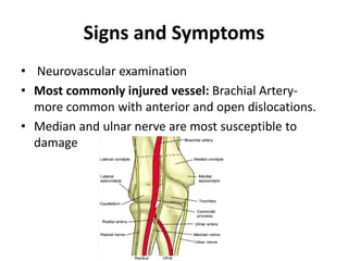 Signs and Symptoms
• Neurovascular examination
• Most commonly injured vessel: Brachial Artery-
more common with anterior and open dislocations.
• Median and ulnar nerve are most susceptible to
damage
 