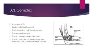 Lcl Complex Components elbow dislocation classification and diagnosis. | PPTX