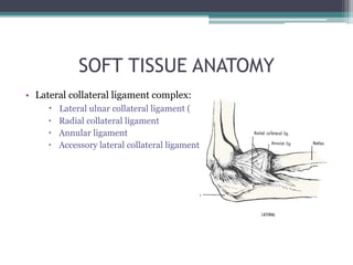 SOFT TISSUE ANATOMY
• Lateral collateral ligament complex:
 Lateral ulnar collateral ligament (
 Radial collateral ligament
 Annular ligament
 Accessory lateral collateral ligament
 